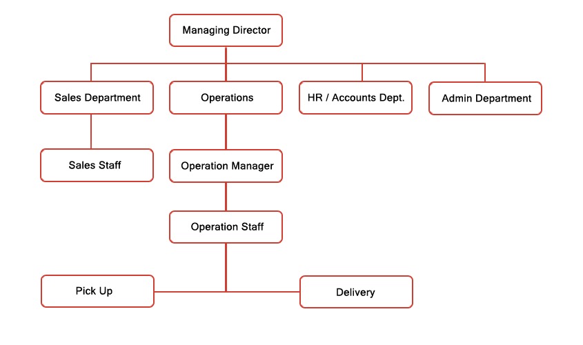 Organization Chart City Moon Cargo Llc Best International Logistics